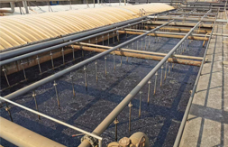 美仪溶解氧仪助力荆门格林美污水处理