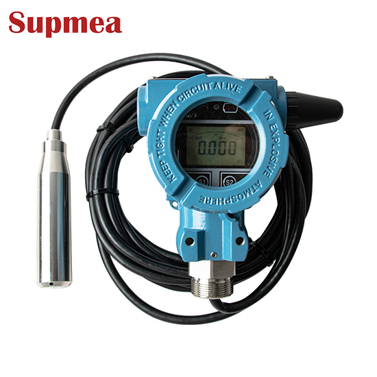 WSP800无线投入式