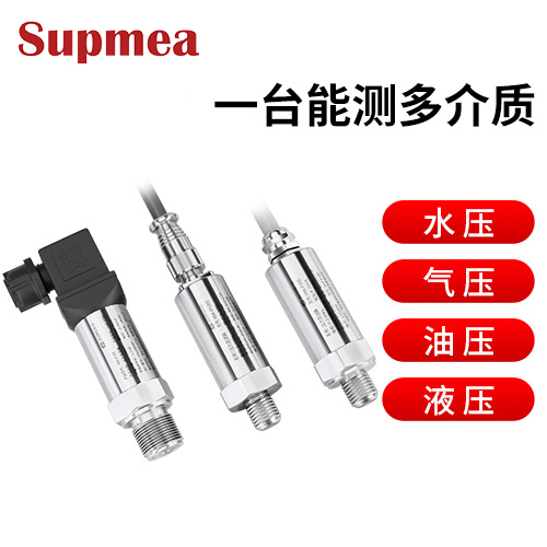 P300压力变送器